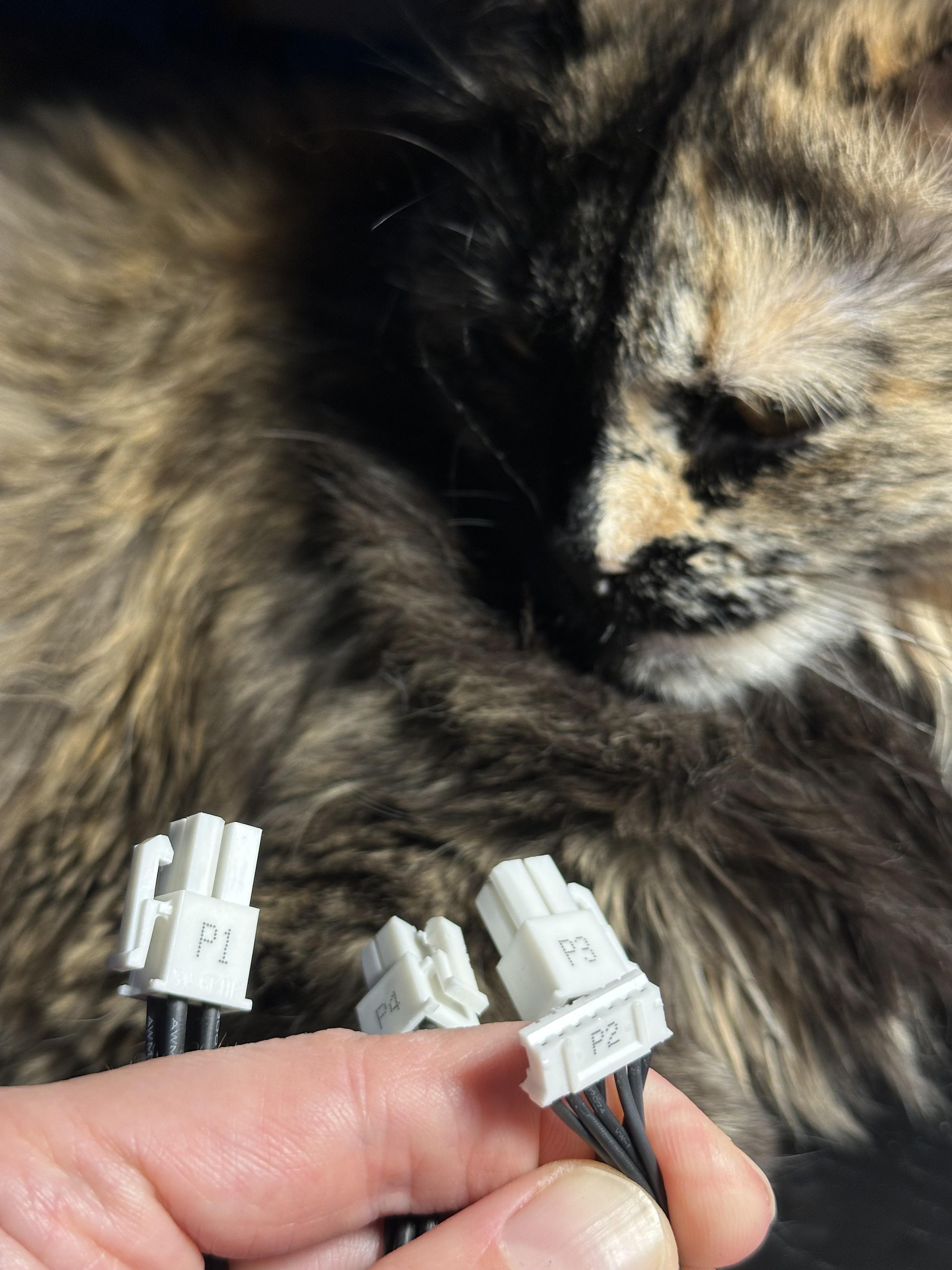 7-pin connector with 7 black wires plus three 12V connectors plus a disruptor